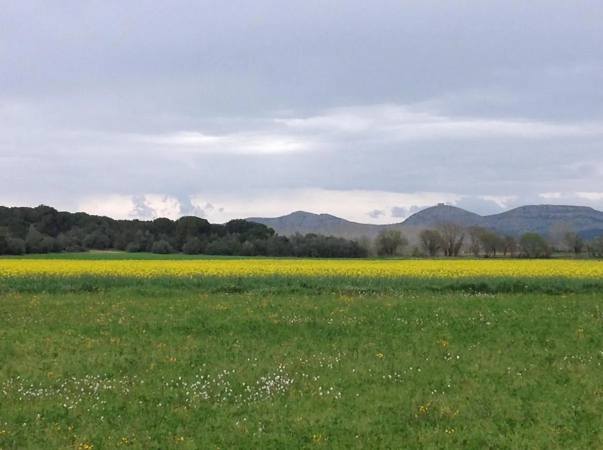 Apartamento El Niu De La Berta Bellcaire d'Emporda